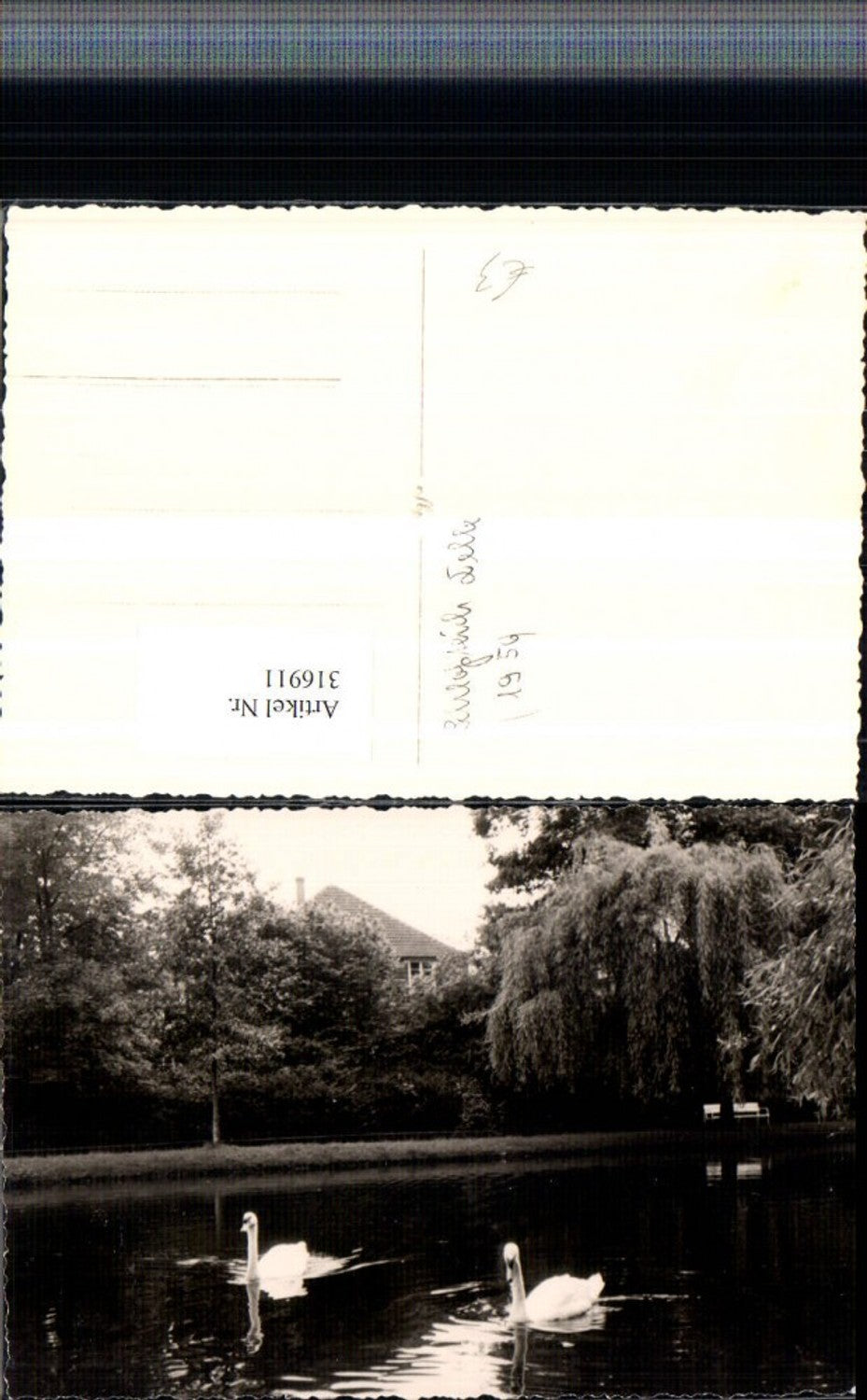 316911,Foto AK Celle Schlossteich Schwäne