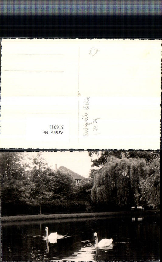 316911,Foto AK Celle Schlossteich Schwäne