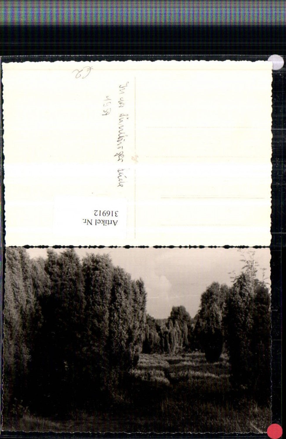 316912,Foto AK In d. Lüneburger Heide Landschaft