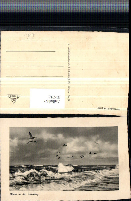 316916,Nordseebad Langeoog Möwen in d. Brandung Wellen