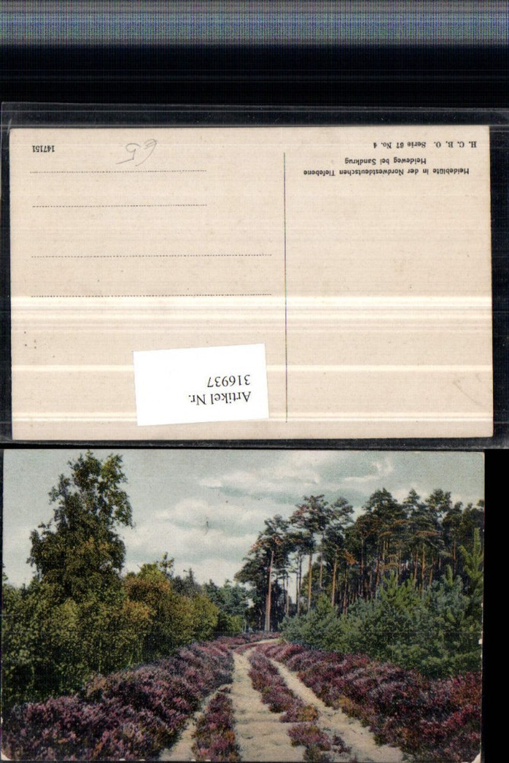 316937,Heideblüte in d. Tiefebene Heideweg b. Sandkrug Wegpartie