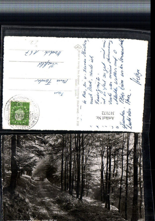 317172,Morgenstimmung am Kahlen Asten b. Winterberg Wegpartie