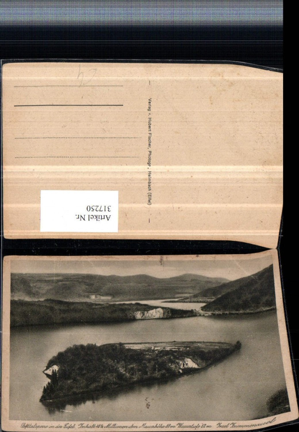 317250,Urfttalsperre in d. Eifel Insel Krummenauel b. Schleiden