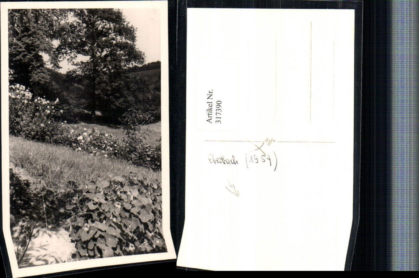 317390, Photo AK Eberbach Landscape Scene
