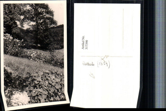 317390, Photo AK Eberbach Landscape Scene