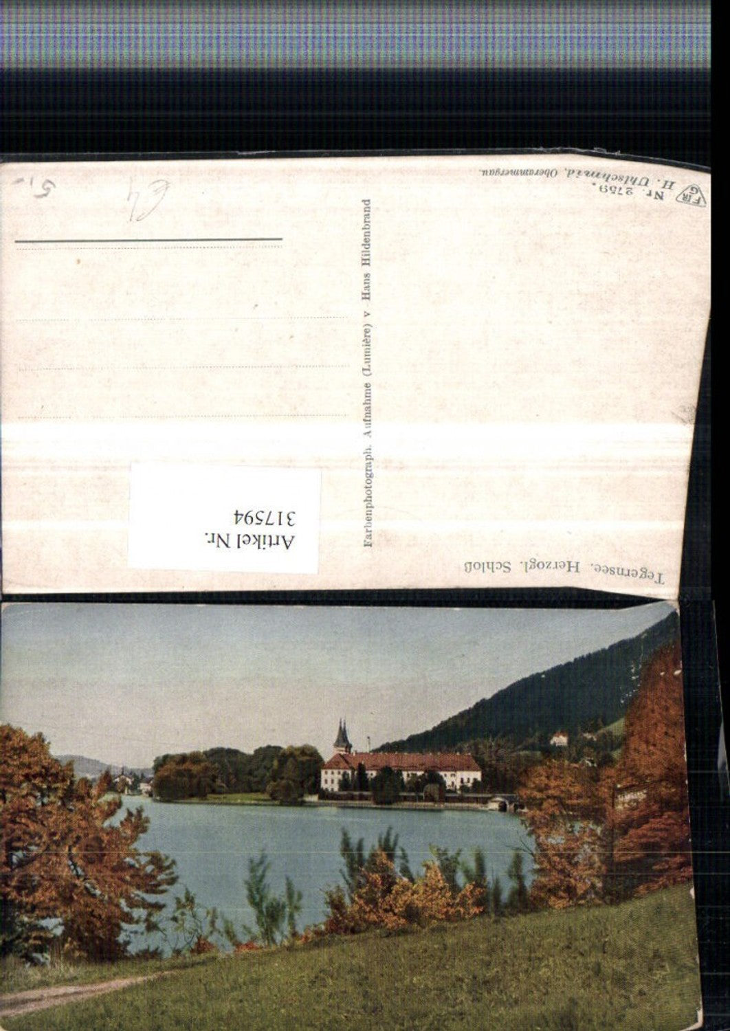 317594,Tegernsee Blick zum Herzogliches Schloss