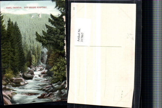 317867,Okertal im Harz b. Altenau Der Große Kurfürst Bach