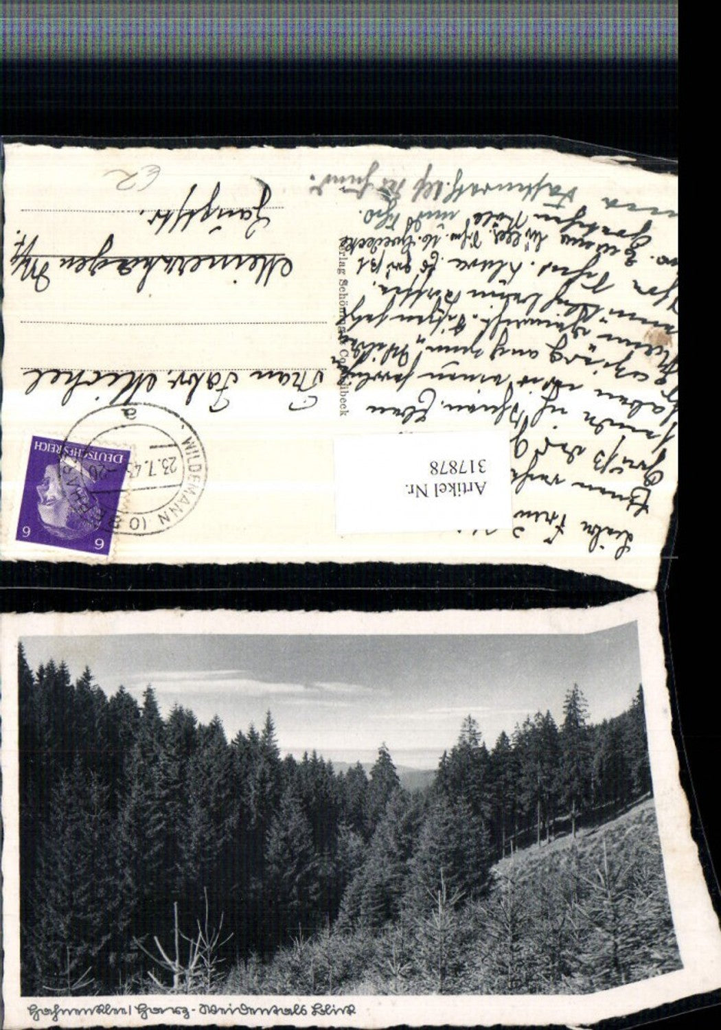 317878,Hahnenklee im Harz b. Goslar Blick Wald