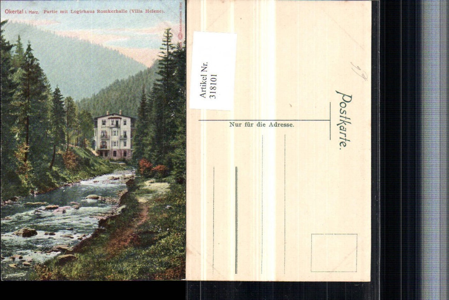 318101,Okertal im Harz Partie m. Logirhaus Romkerhalle Villa Helene b. Goslar