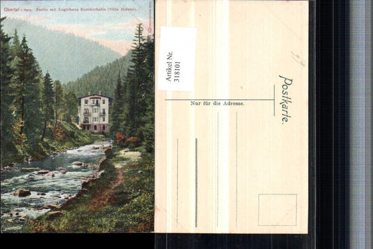 318101,Okertal im Harz Partie m. Logirhaus Romkerhalle Villa Helene b. Goslar