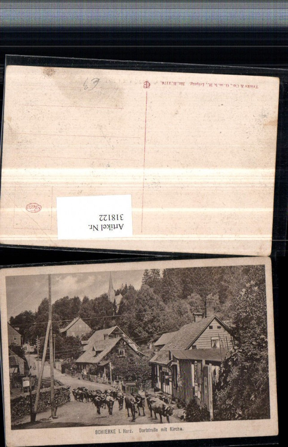 318122,Schierke im Harz Dorfstraße m. Kirche Rinder