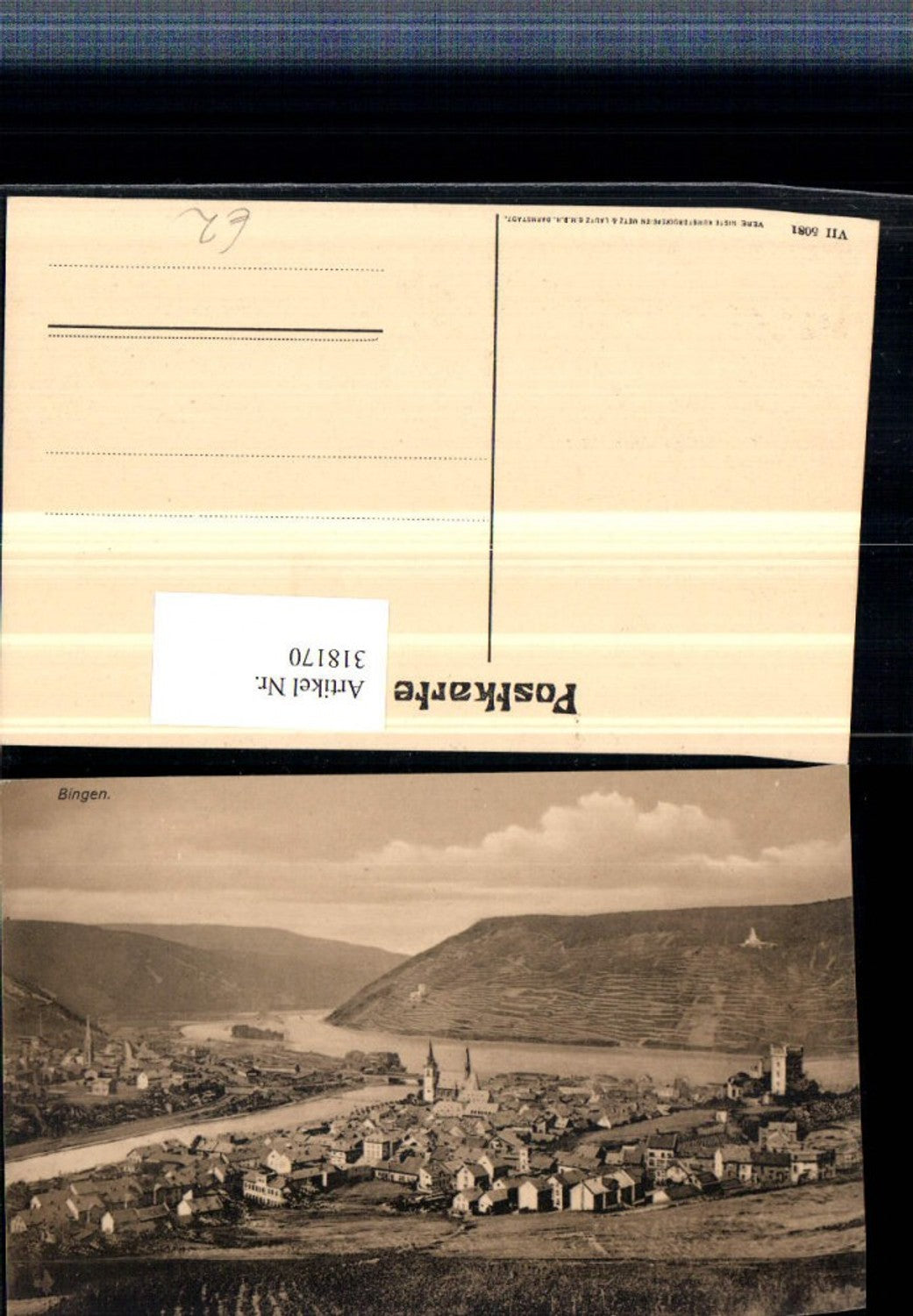 318170,Bingen am Rhein Totale