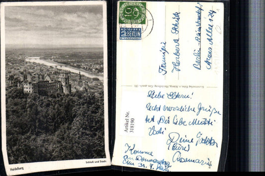 318190, Heidelberg Castle and City Overview
