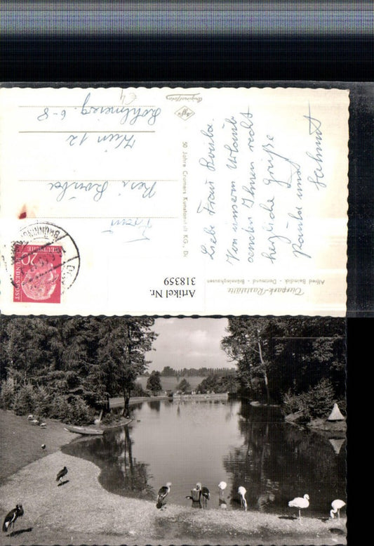 318359,Dortmund Brünninghausen Tierpark Teich Flamingos Vögel