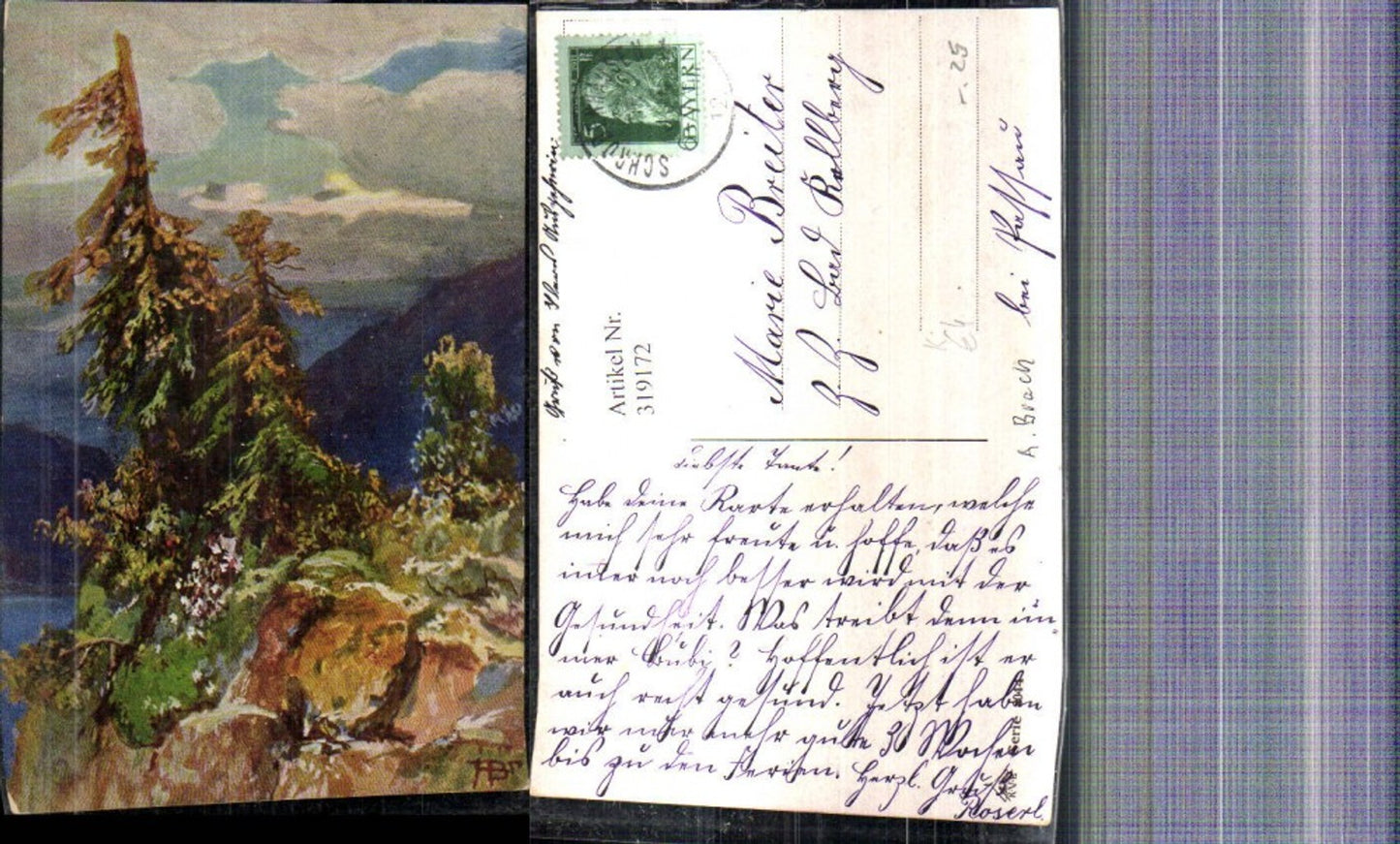 319172,Künstler Ak Baum Tanne a. Felsen Landschaft