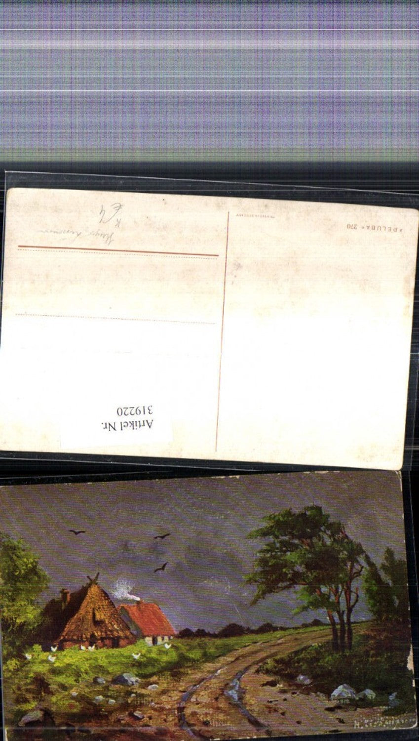 319220,Künstler Ak Hugo Lissmann Häuser Reetdachhaus Straße Vögel Landschaft
