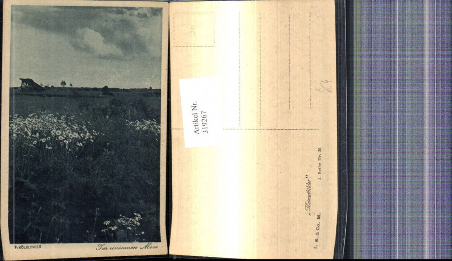 319267,Künstler Ak F. Kölblinger Im einsamen Moos Landschaft Blumen