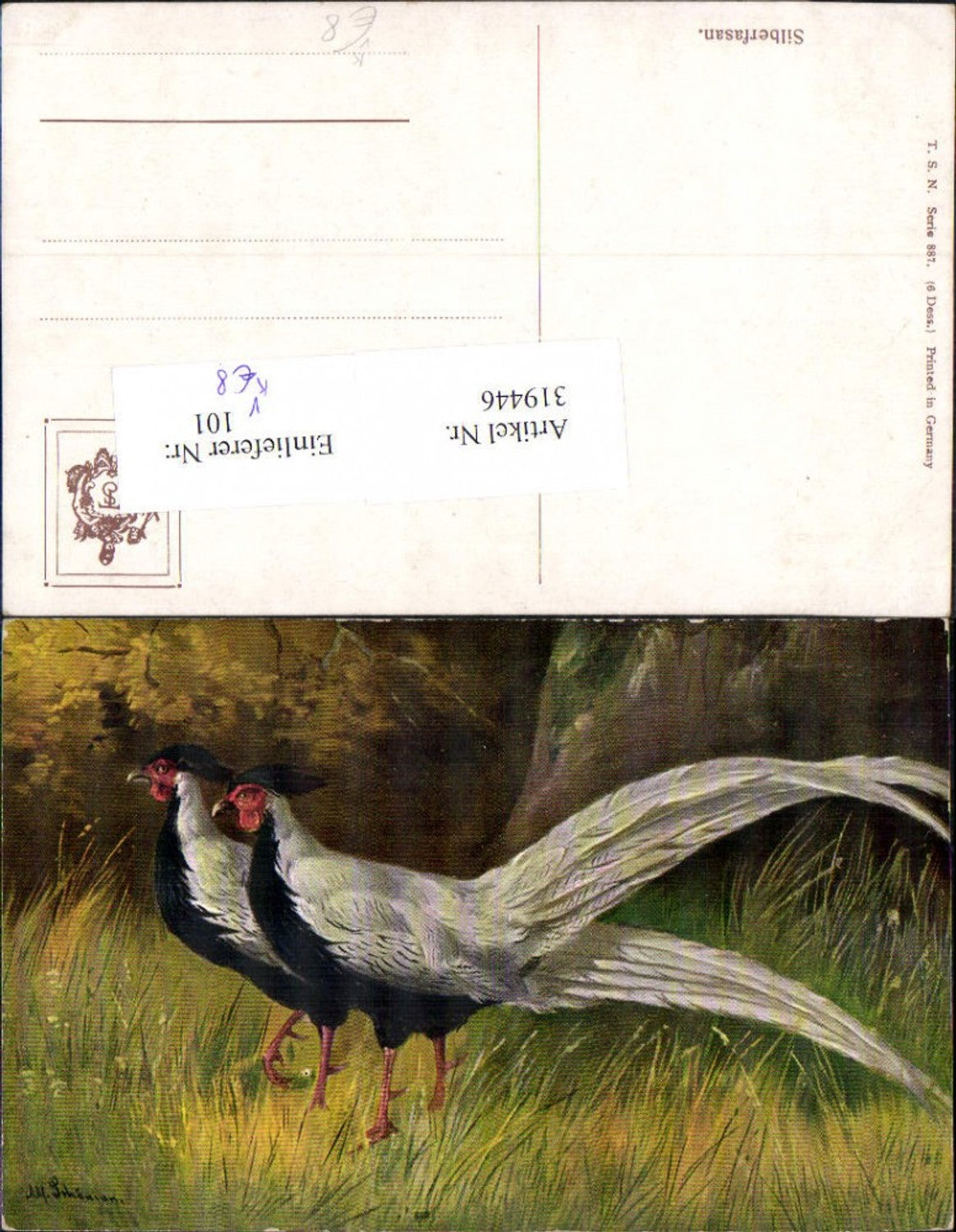 319446,Künstler Ak Alfred Schönian Silberfasan Tiere Vogel pub Theo Stroefer 887