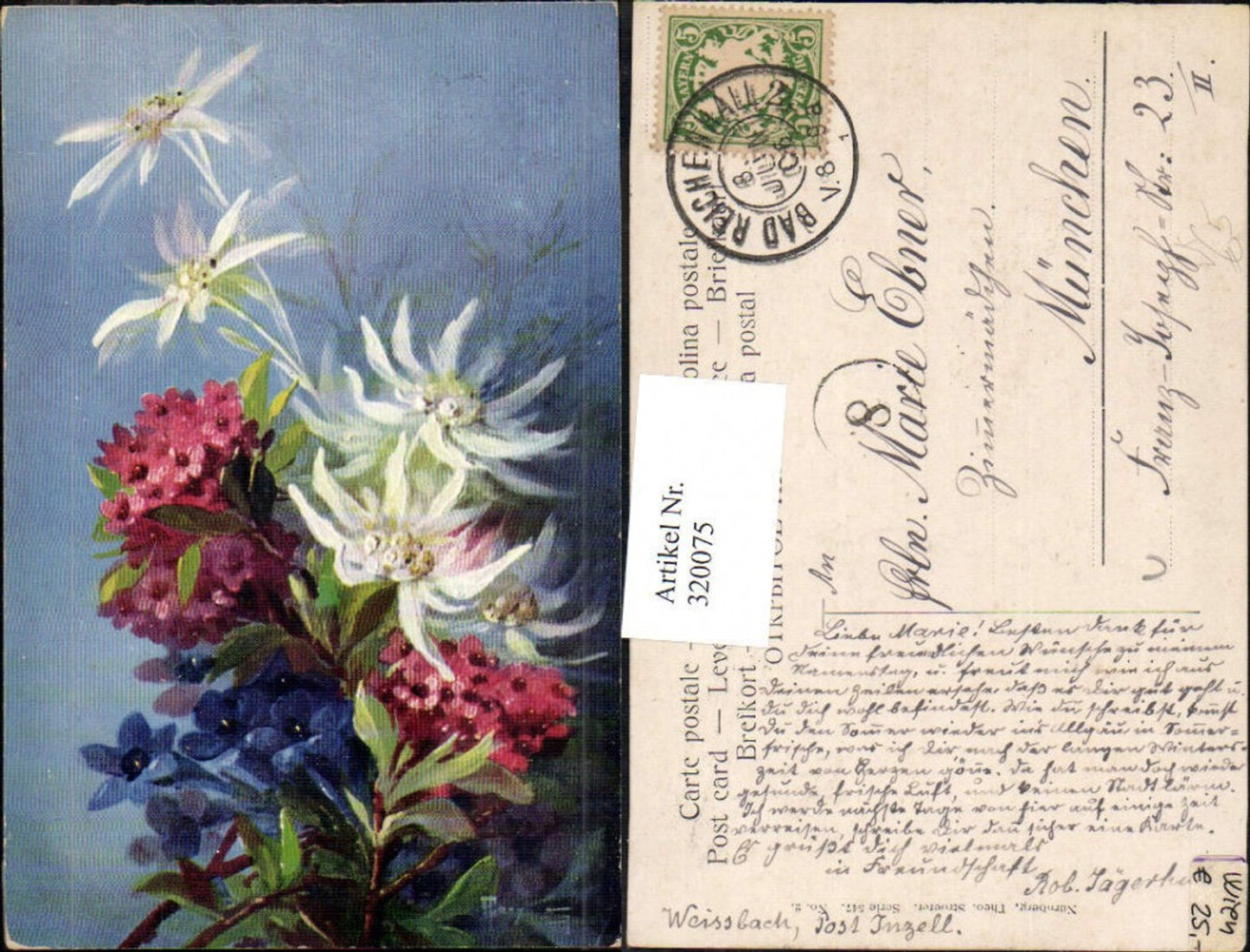 320075, Artist Ak Mary Golay Alpine Flowers Edelweiss Gentian pub Theo Stroefer 547