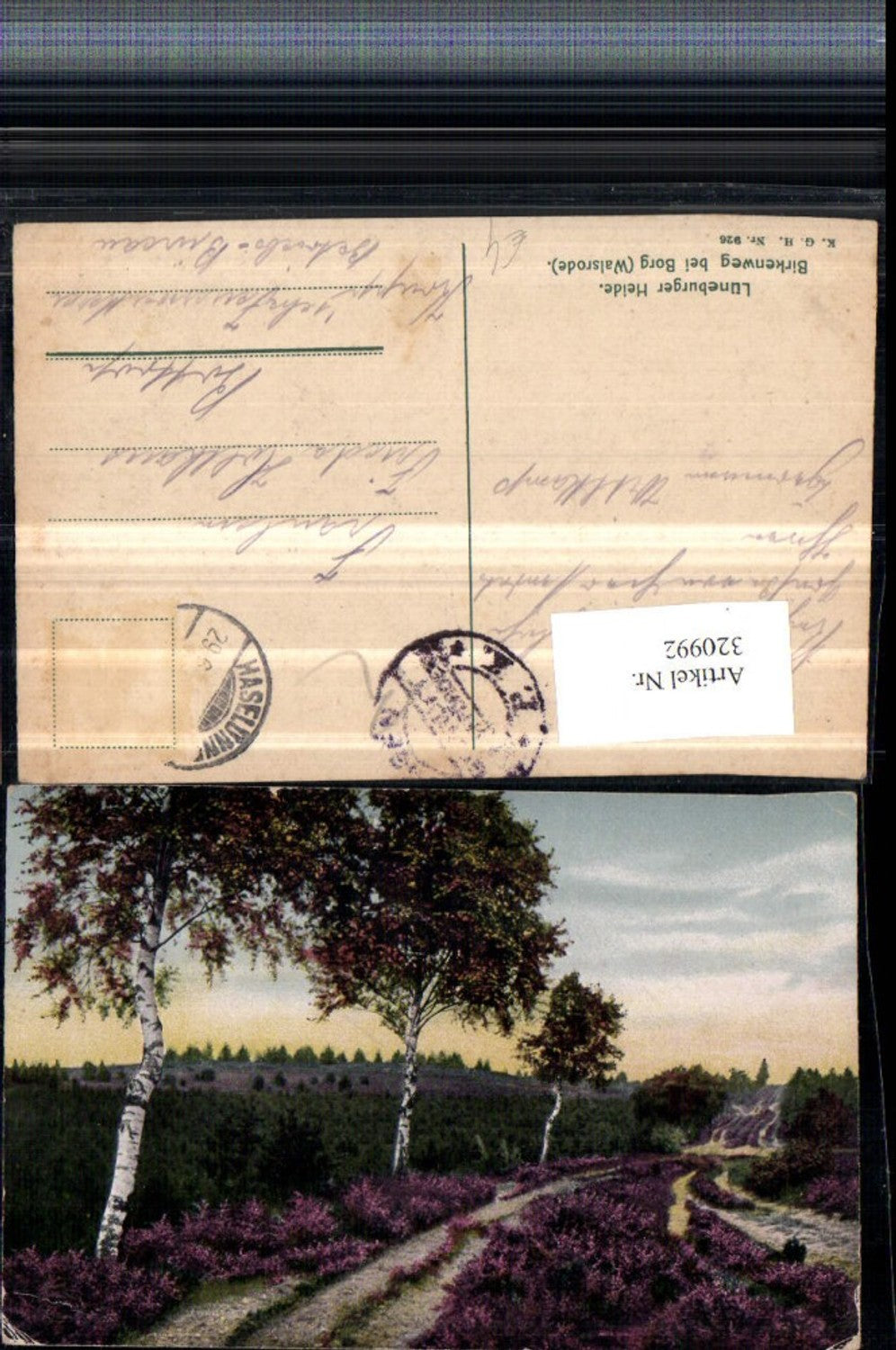 320992,Lüneburger Heide Birkenweg b. Borg Walsrode Landschaft