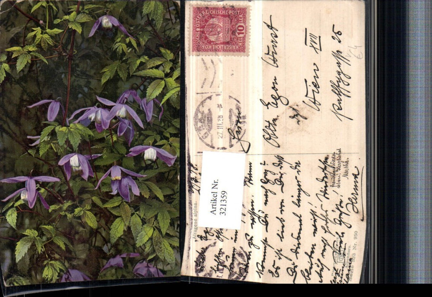 321359,Photochromie Nenke & Ostermaier 523/950 Atragene alpina Alpen-Waldrebe Blumen