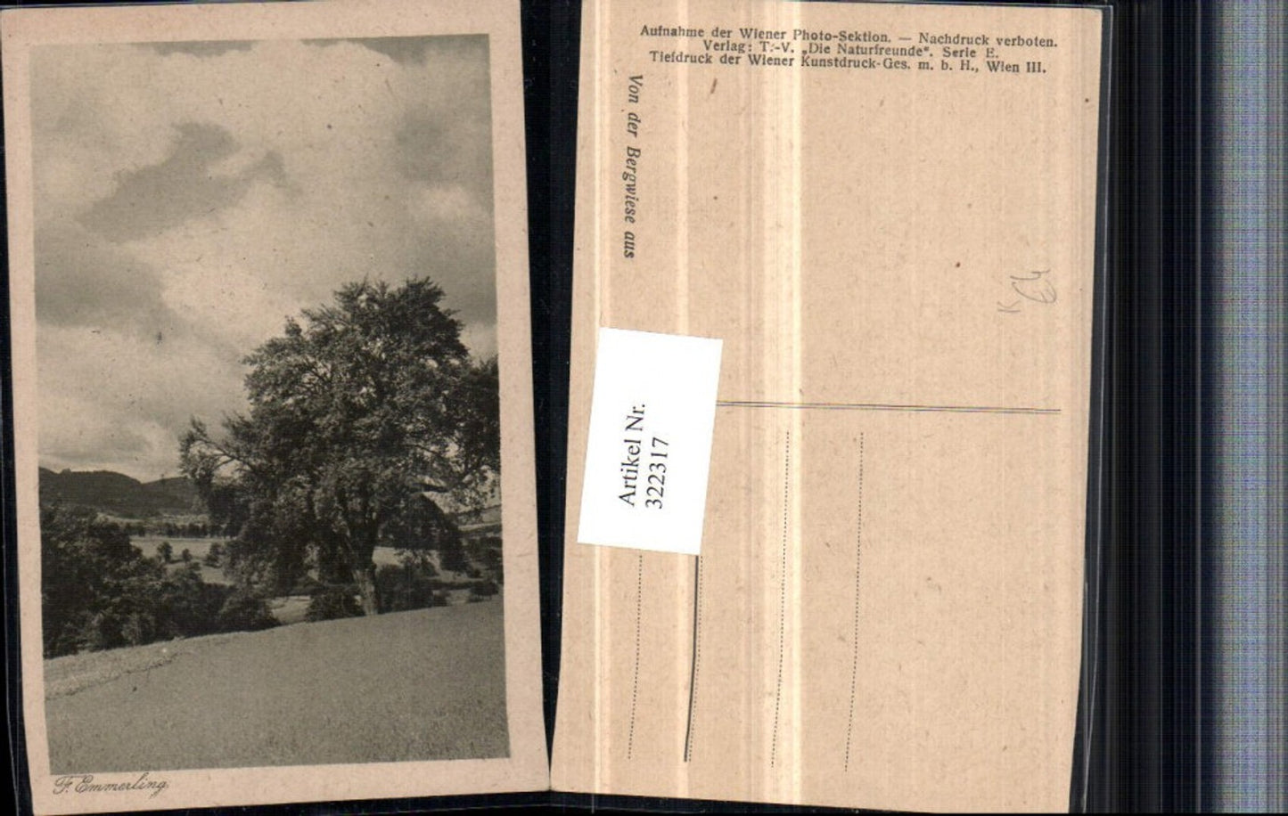 322317,Künstler AK F. Emmerling Von der Bergwiese aus Landschaft