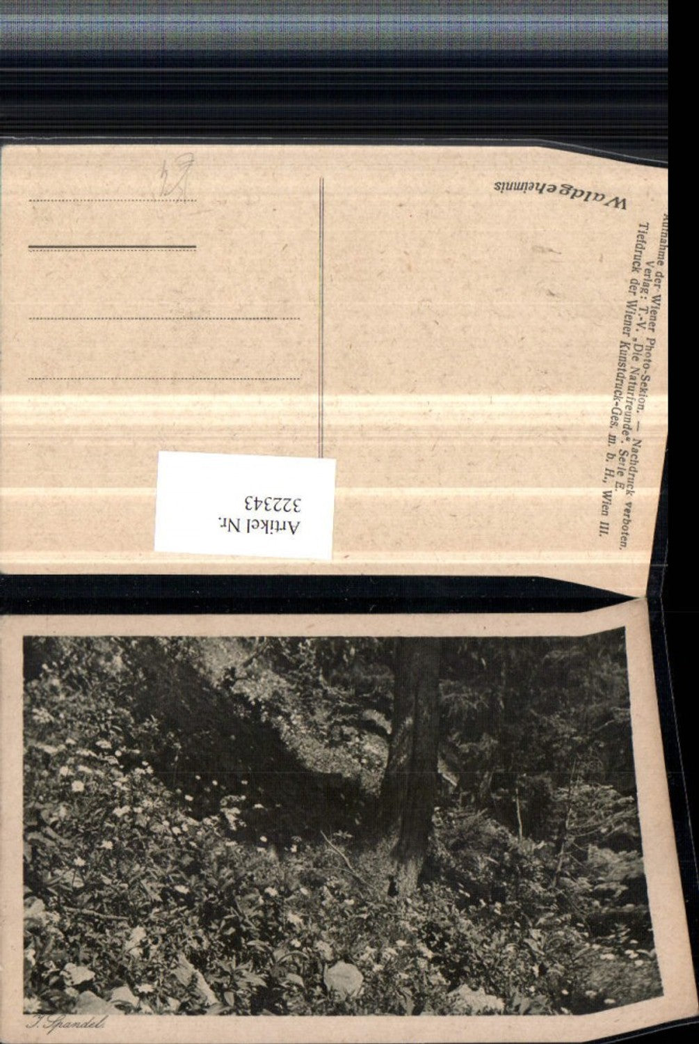 322343,Künstler AK J. Spandel Waldgeheimnis Wiese Partie