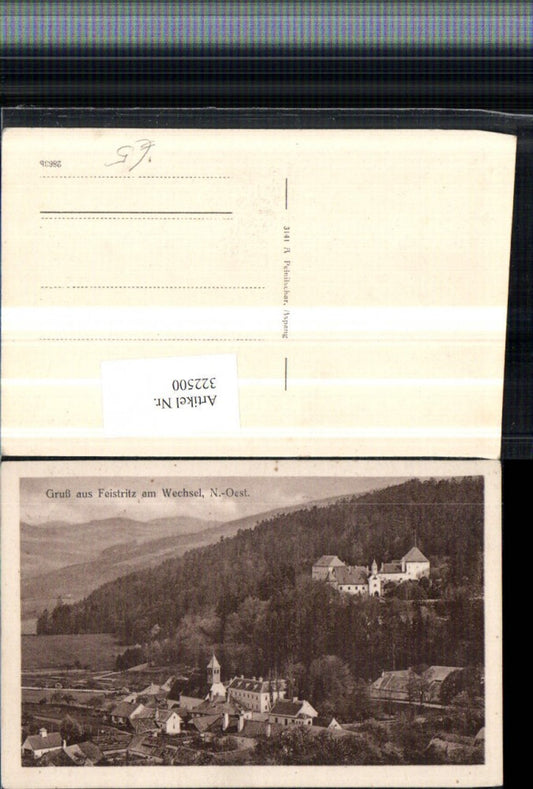 322500,Gruß aus Feistritz am Wechsel Teilansicht m. Schloss