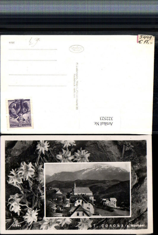 322523,St. Corona am Wechsel Teilansicht Bergkulisse Passepartout Edelweiß