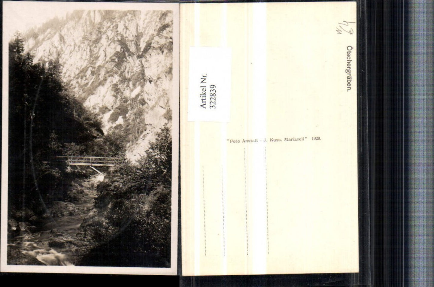 322839,Ötschergräben b. Mitterbach Brücke Wildbach