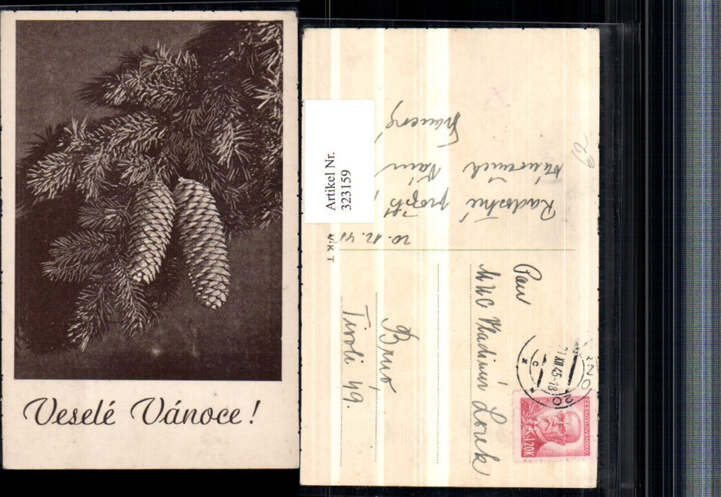 323159, Christmas fir branches cones