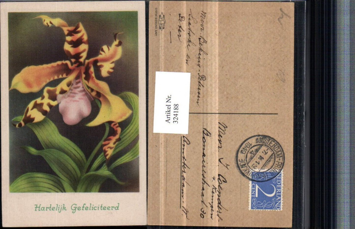 324188,Künstler AK Glückwunsch Blume Orchidee