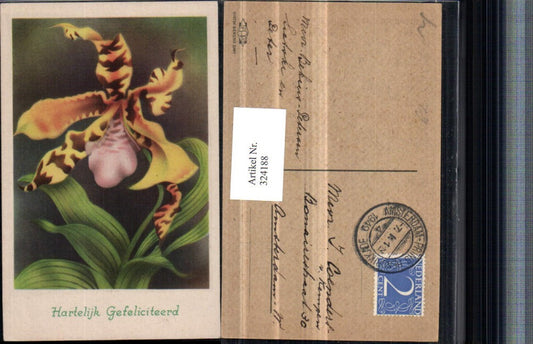 324188,Künstler AK Glückwunsch Blume Orchidee
