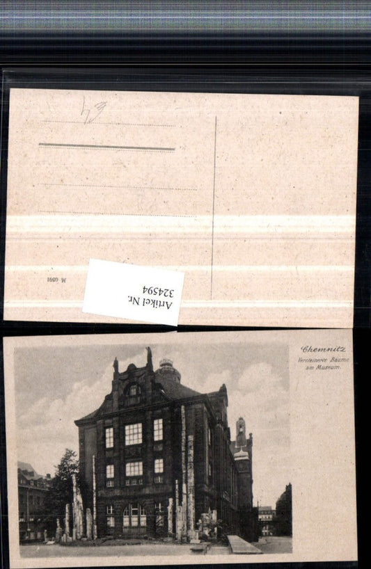 324594,Chemnitz Versteinerte Bäume am Museum