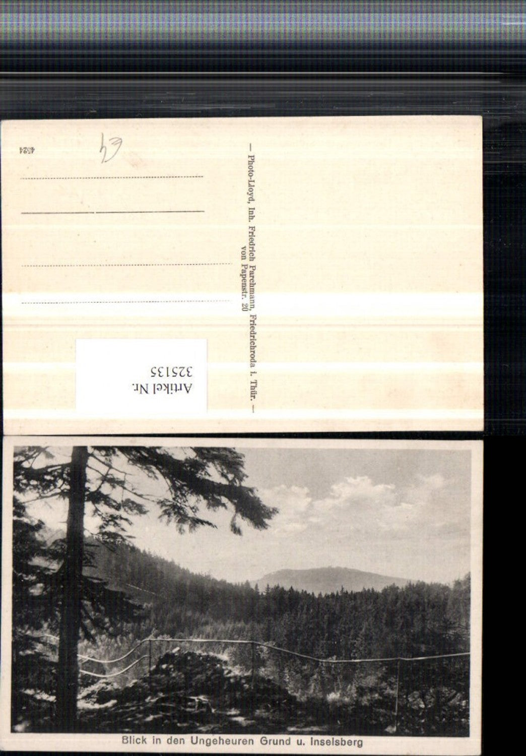 325135,Blick in d. Ungeheuren Grund u. Inselsberg b. Friedrichroda
