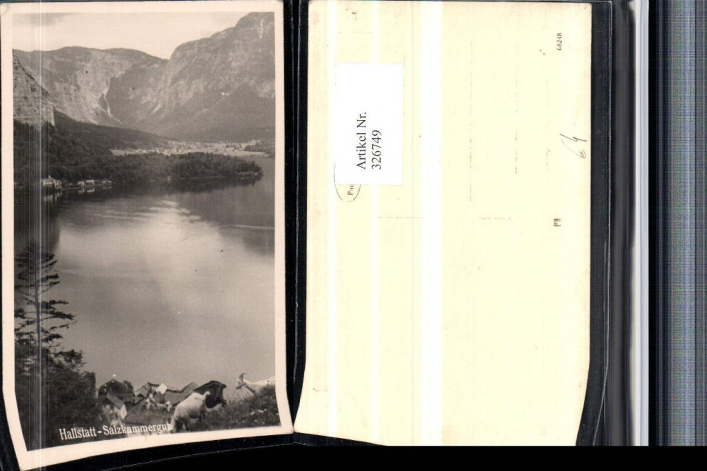 326749,Hallstatt Teilansicht Gämse Bergkulisse