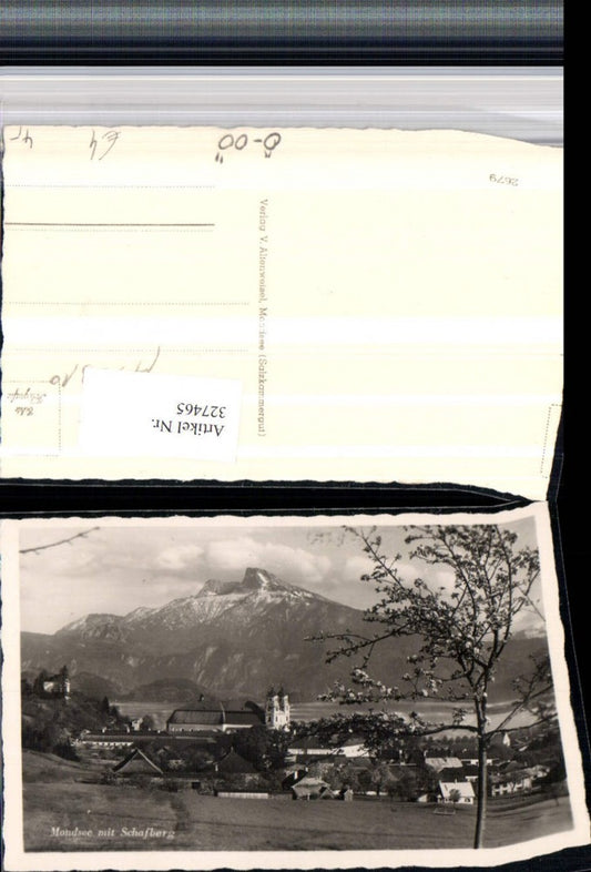327465,Mondsee Teilansicht m. Schafberg Bergkulisse Baumblüte