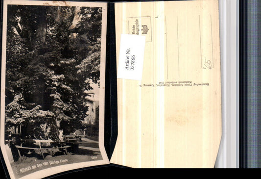 327866,Millstatt am See 1000-jährige Linde Baum pub Franz Schilcher 1214