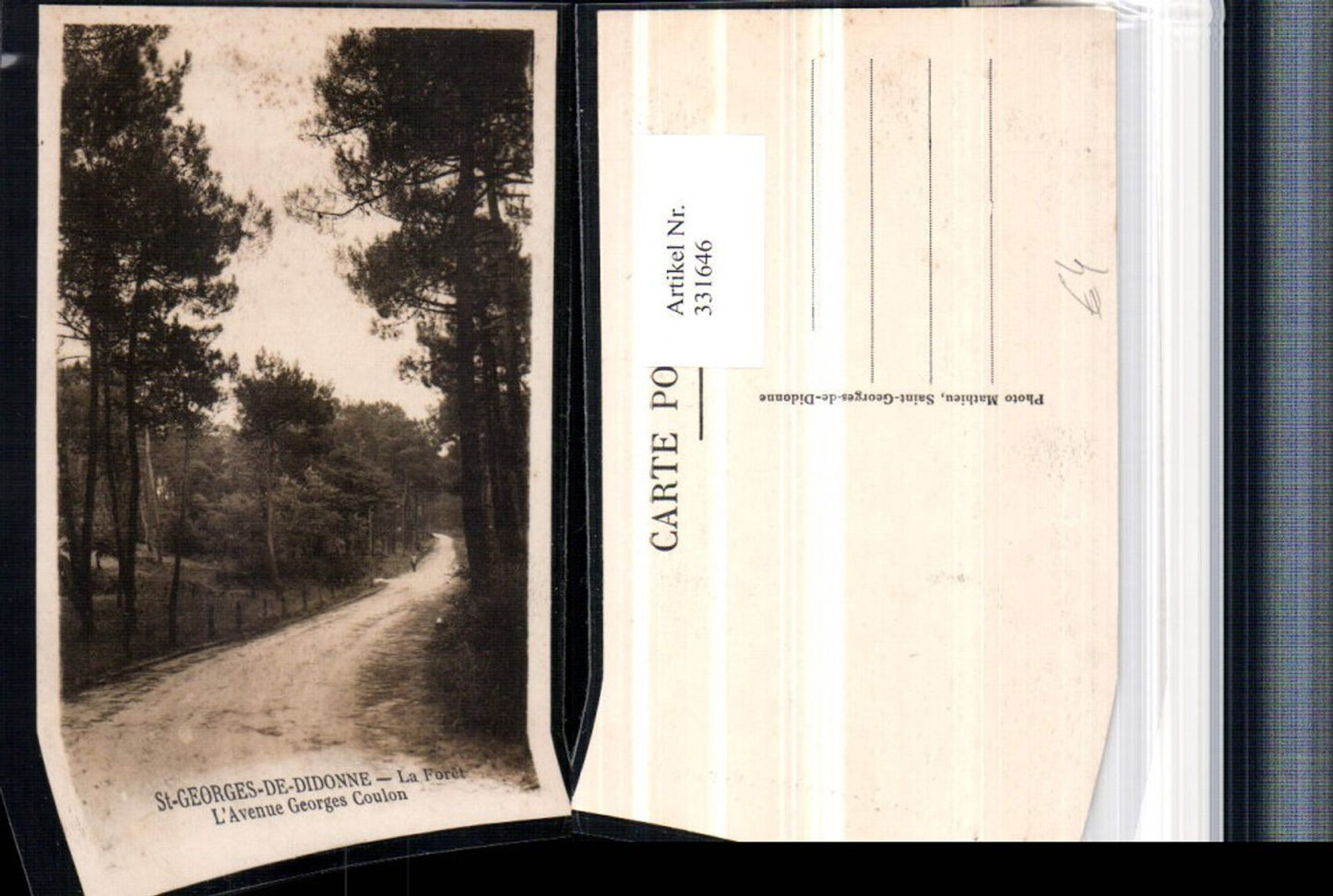 331646,Poitou-Charentes Charente-Maritime St-Georges-de-Didonne La Foret Avenue Georges Coulon
