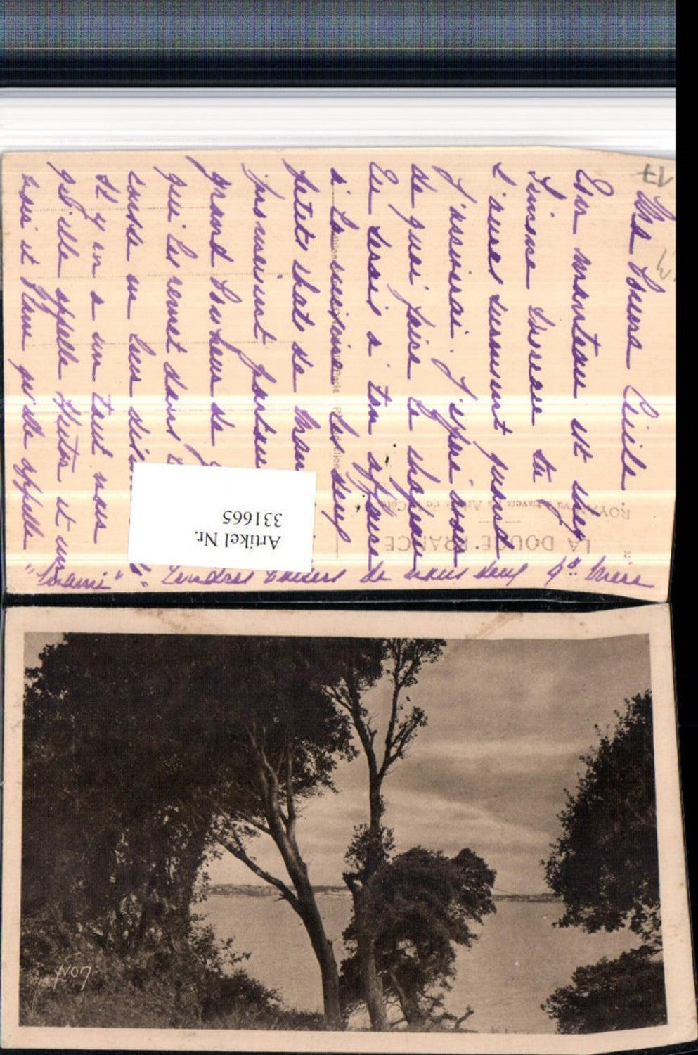 331665,Poitou-Charentes Charente-Maritime Royan vue a travers les Arbres de la Cote