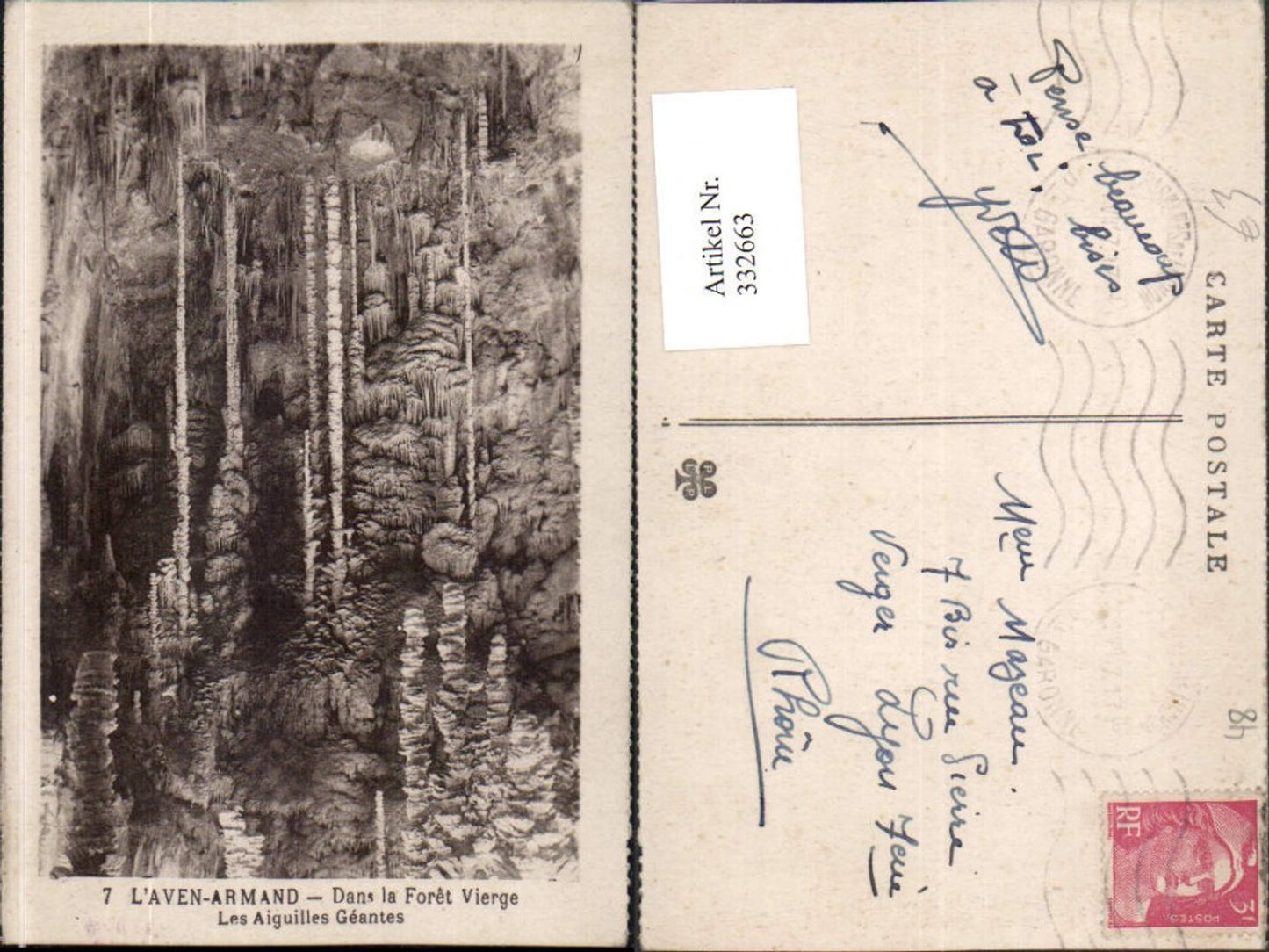 332663,Languedoc-Roussillon Lozere l'Aven-Armand Dans la Foret Vierge Les Aiguilles Geantes