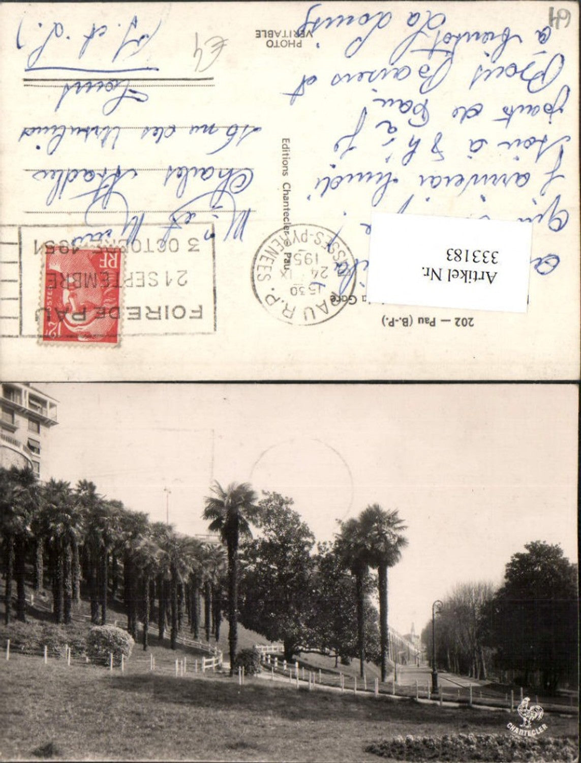 333183,Aquitaine Pyrenees-Atlantiques Pau La Palmeraie and Avenue de la Gare Palms