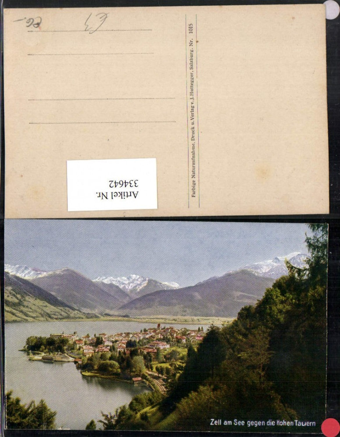 334642,Zell am See Totale geg. Hohen Tauern Bergkulisse