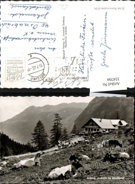 334704,Golling Jochalm im Bluntautal Almhütte Rinder Kühe Bergkulisse
