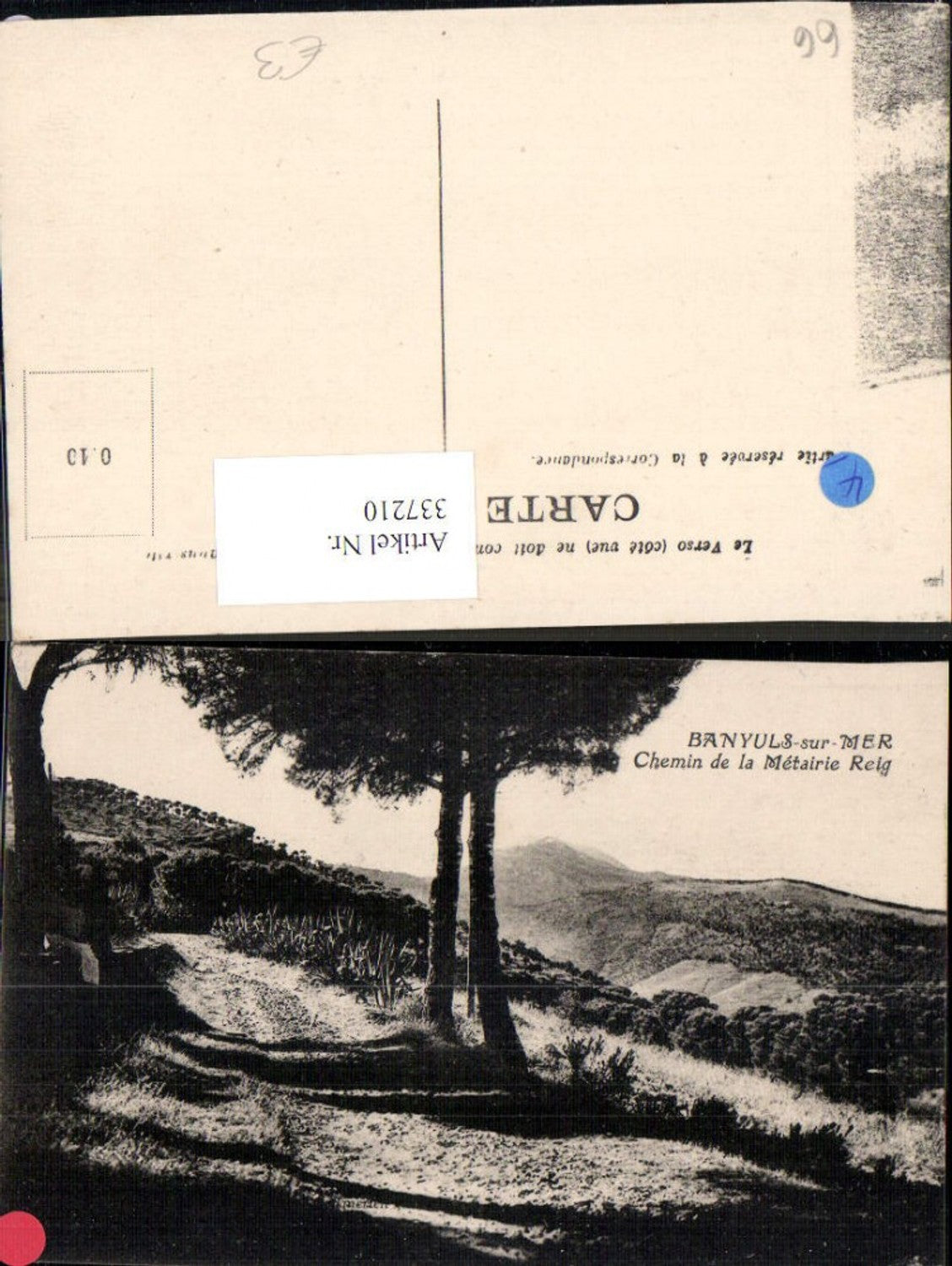 337210,Languedoc-Roussillon Pyrenees-Orientales Banyuls sur Mer Chemin de la Metairie Reig Landschaft