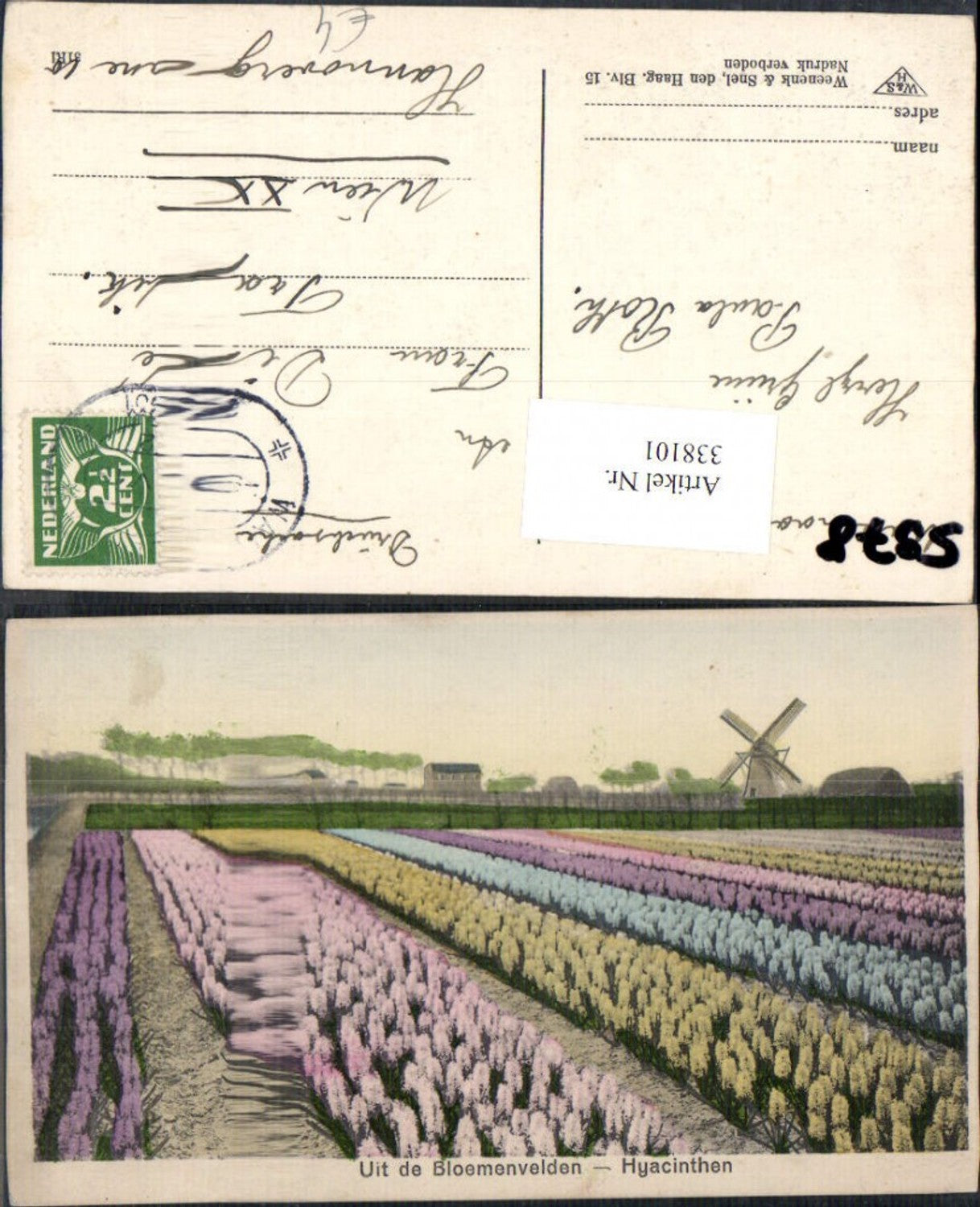 338101,Windmühle m. Blumenfeld Blumen Uit de Bloemenvelden Hyacinthen