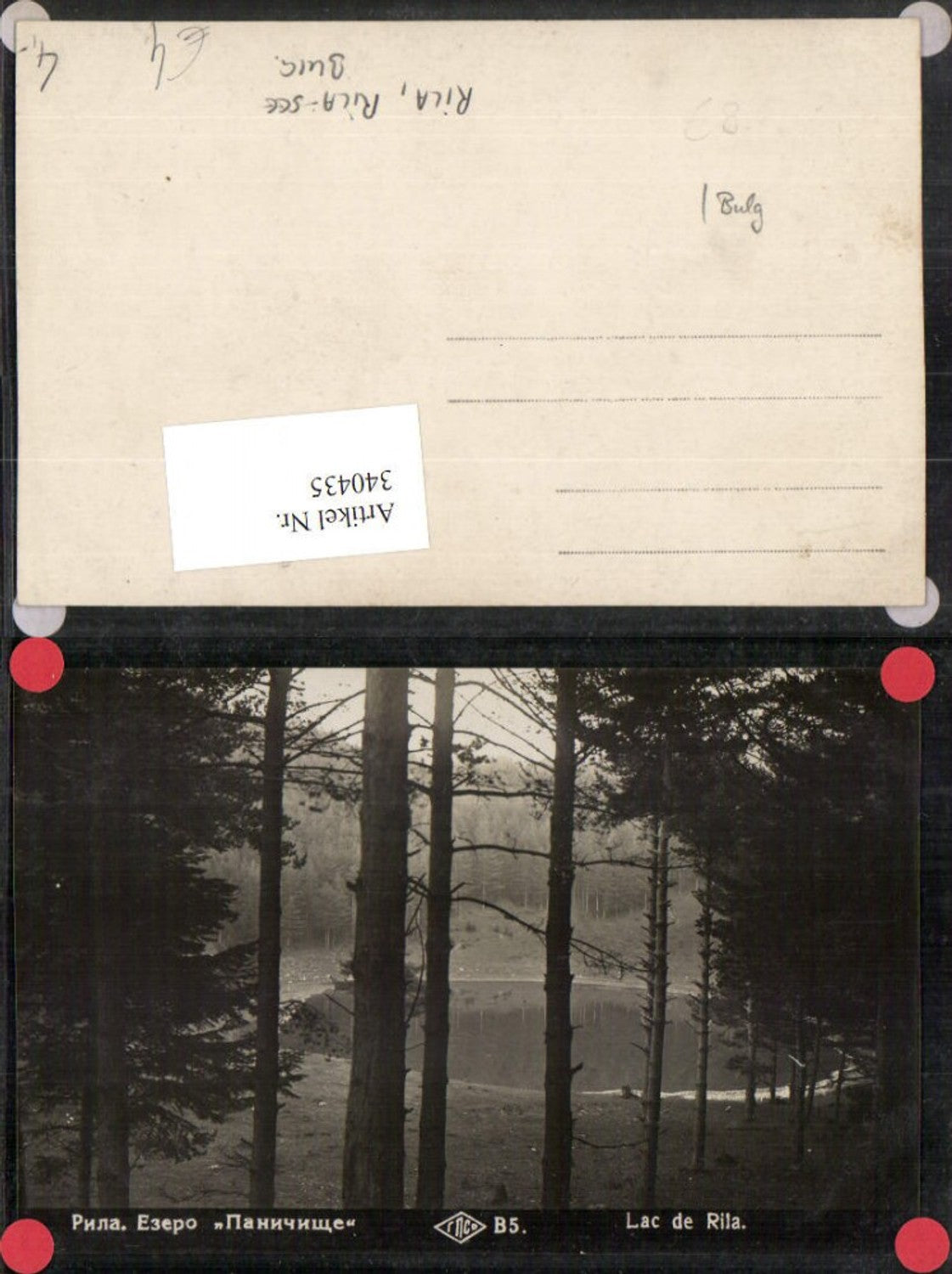 340435,Rila Rila-See Wald