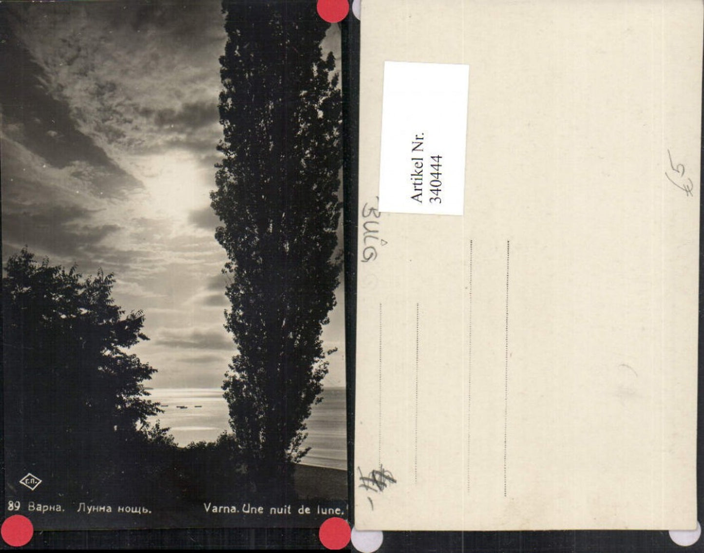 340444,Varna Warna Une nuit de lune Stimmungsbild