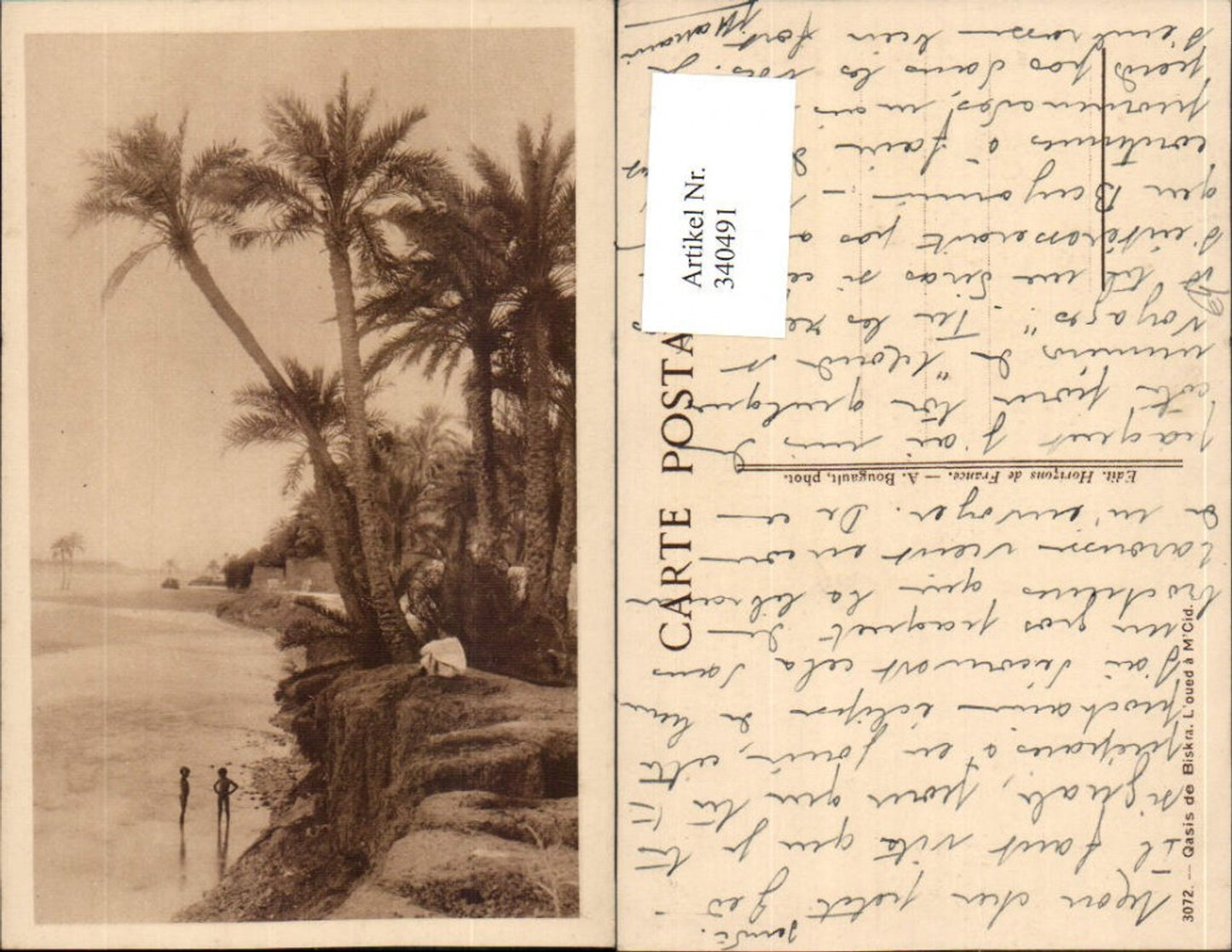 340491,Biskra Oasis L'oued a M'Cid Oase Palmen