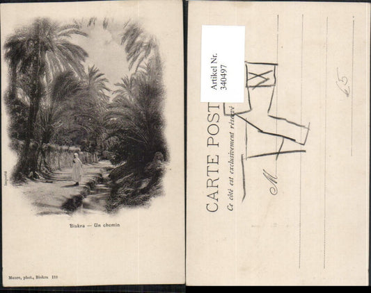 340497,Biskra Un chemin Partie Palmen